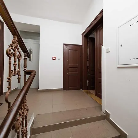 Apartment Borivojova 50