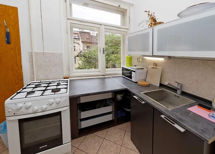 Appartement Borivojova 50 *