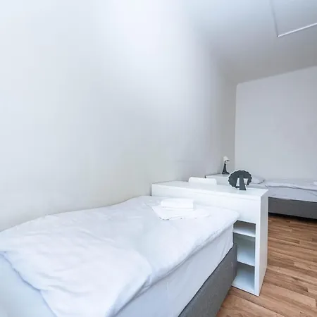 Apartment Borivojova 50 *