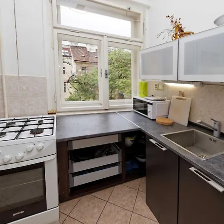 Apartmán Borivojova 50 *