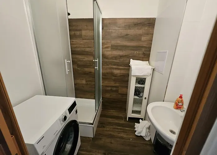 Borivojova 50 Apartment